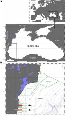 Habitat and Macrozoobenthic Diversity in Marine Protected Areas of the Southern Romanian Black Sea Coast